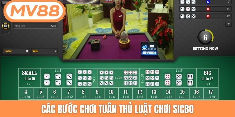 Các bước chơi tuân thủ luật chơi Sicbo