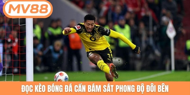 Đọc kèo bóng đá cần bám sát phong độ đôi bên