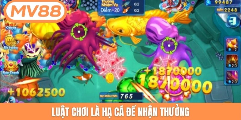 Luật chơi là hạ cá để nhận thưởng